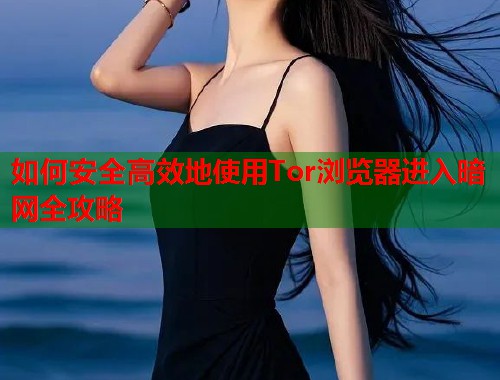 如何安全高效地使用Tor浏览器进入暗网全攻略  第1张