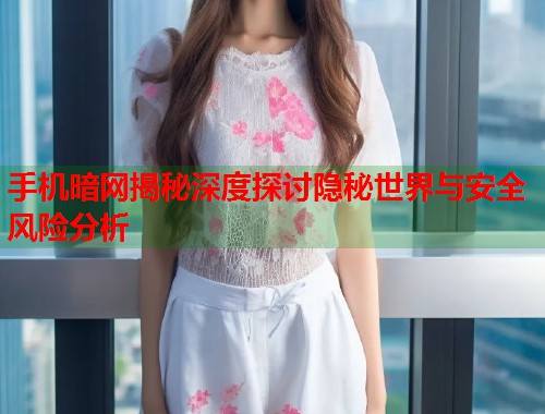 手机暗网揭秘深度探讨隐秘世界与安全风险分析
