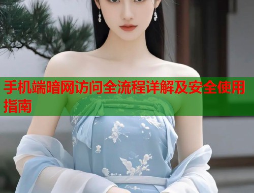 手机端暗网访问全流程详解及安全使用指南