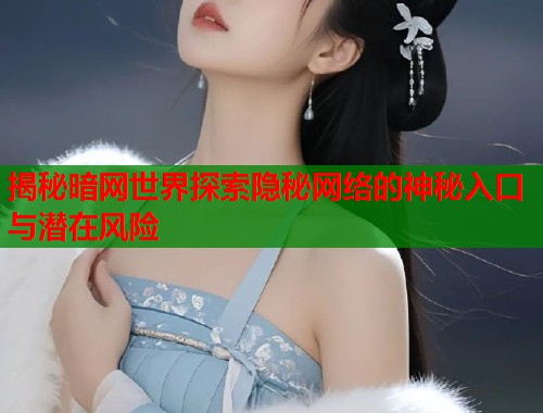 揭秘暗网世界探索隐秘网络的神秘入口与潜在风险