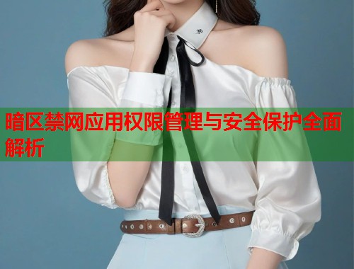 暗区禁网应用权限管理与安全保护全面解析  第1张