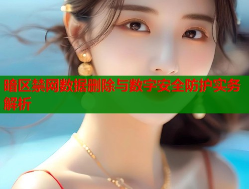 暗区禁网数据删除与数字安全防护实务解析  第1张