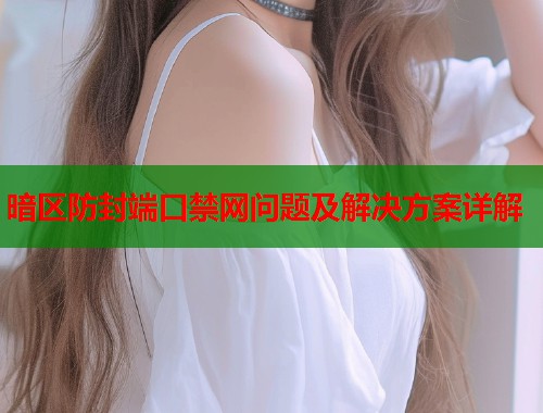 暗区防封端口禁网问题及解决方案详解  第1张