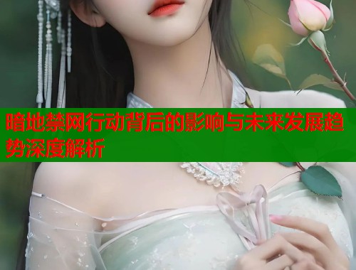 暗地禁网行动背后的影响与未来发展趋势深度解析  第1张