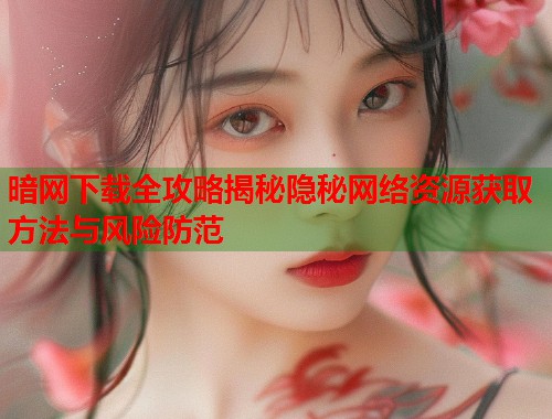暗网下载全攻略揭秘隐秘网络资源获取方法与风险防范  第1张