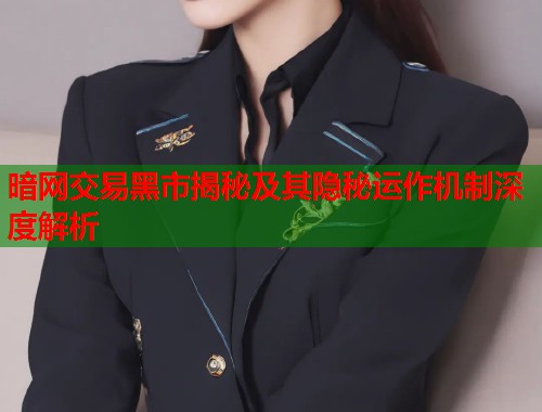 暗网交易黑市揭秘及其隐秘运作机制深度解析  第1张