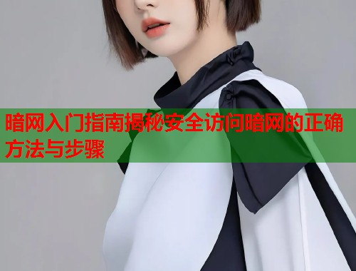 暗网入门指南揭秘安全访问暗网的正确方法与步骤  第1张