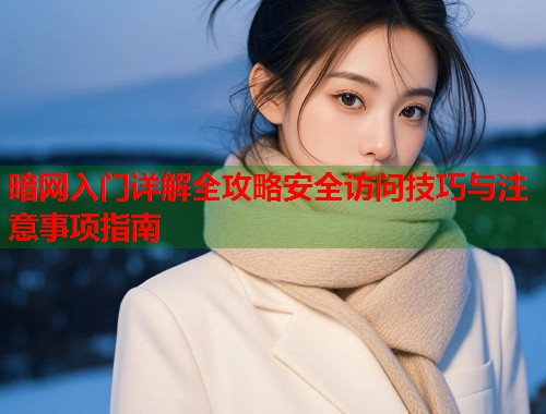 暗网入门详解全攻略安全访问技巧与注意事项指南  第2张