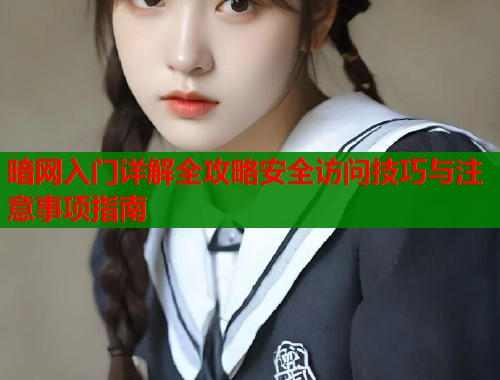 暗网入门详解全攻略安全访问技巧与注意事项指南  第1张