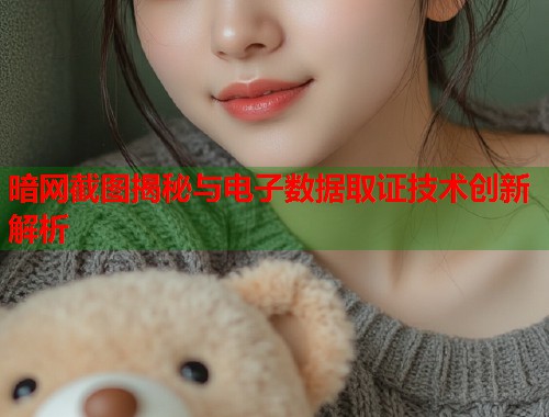 暗网截图揭秘与电子数据取证技术创新解析