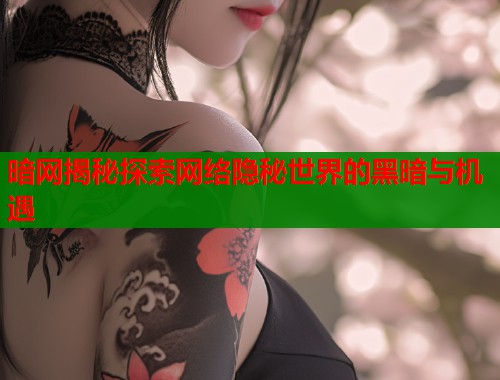 暗网揭秘探索网络隐秘世界的黑暗与机遇