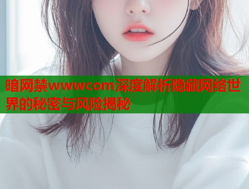 暗网禁wwwcom深度解析隐藏网络世界的秘密与风险揭秘