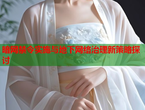 暗网禁令实施与地下网络治理新策略探讨