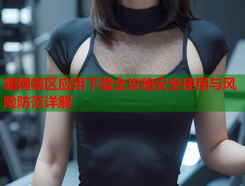 暗网禁区应用下载全攻略安全使用与风险防范详解  第2张