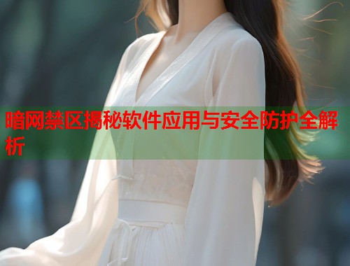暗网禁区揭秘软件应用与安全防护全解析  第2张