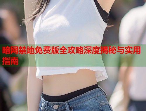 暗网禁地免费版全攻略深度揭秘与实用指南