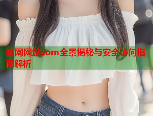 暗网网站com全景揭秘与安全访问指南解析  第2张