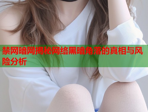 禁网暗网揭秘网络黑暗角落的真相与风险分析