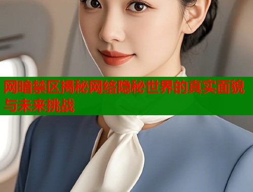 网暗禁区揭秘网络隐秘世界的真实面貌与未来挑战  第2张