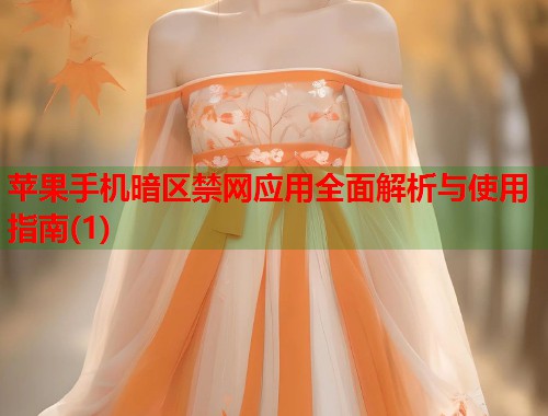 苹果手机暗区禁网应用全面解析与使用指南(1)