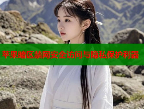 苹果暗区禁网安全访问与隐私保护利器