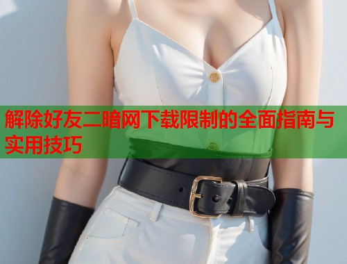 解除好友二暗网下载限制的全面指南与实用技巧