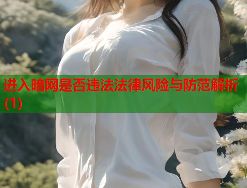 进入暗网是否违法法律风险与防范解析(1)