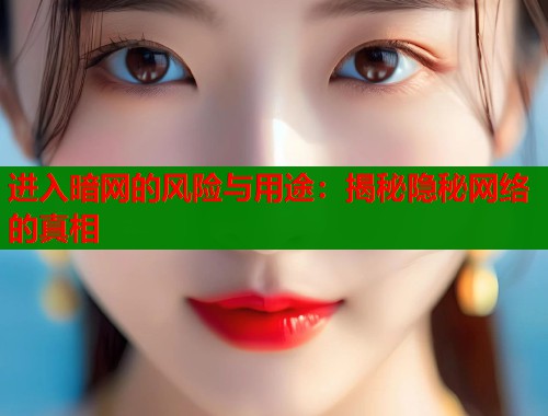 进入暗网的风险与用途：揭秘隐秘网络的真相  第2张