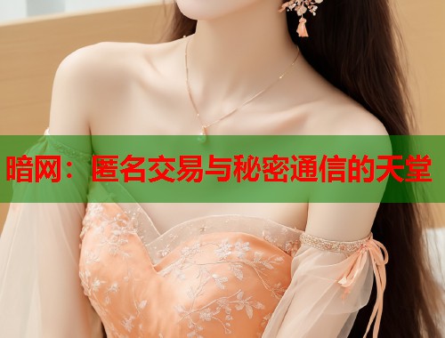 暗网：匿名交易与秘密通信的天堂  第2张