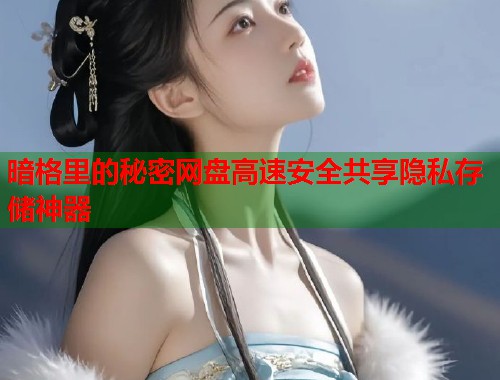 暗格里的秘密网盘高速安全共享隐私存储神器  第1张