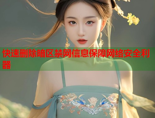 快速删除暗区禁网信息保障网络安全利器