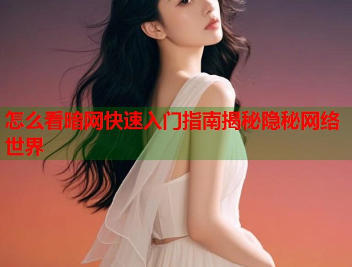 怎么看暗网快速入门指南揭秘隐秘网络世界