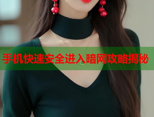 手机快速安全进入暗网攻略揭秘  第2张