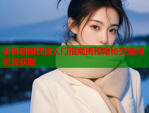 手机暗网快速入门指南揭秘隐秘交流与资源获取