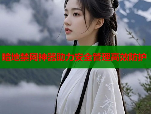 暗地禁网神器助力安全管理高效防护