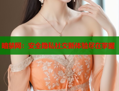 暗禁网：安全隐私社交新体验尽在掌握  第2张