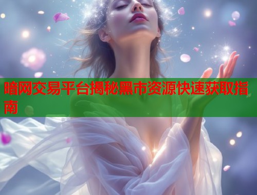 暗网交易平台揭秘黑市资源快速获取指南  第2张