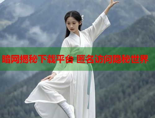 暗网揭秘下载平台 匿名访问隐秘世界