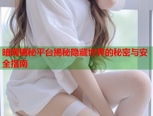暗网揭秘平台揭秘隐藏世界的秘密与安全指南