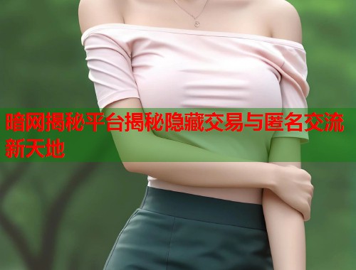暗网揭秘平台揭秘隐藏交易与匿名交流新天地