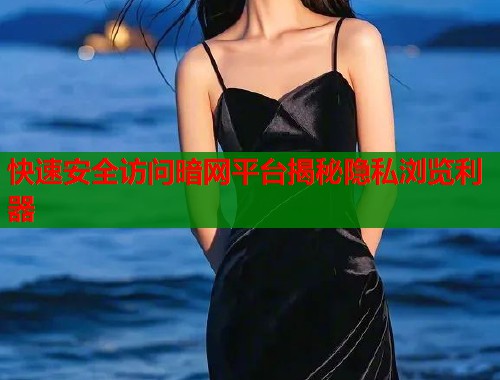 快速安全访问暗网平台揭秘隐私浏览利器