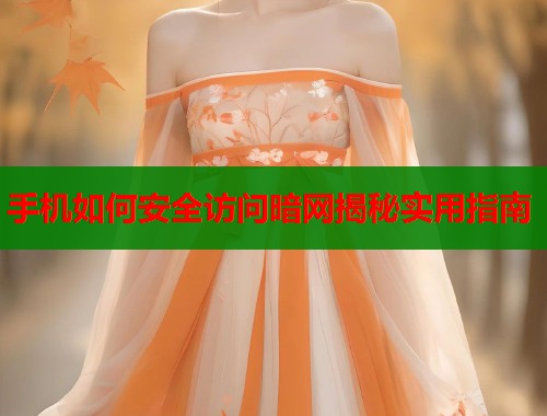手机如何安全访问暗网揭秘实用指南