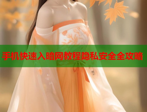 手机快速入暗网教程隐私安全全攻略