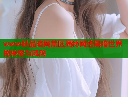 www精品暗网禁区揭秘网络黑暗世界的秘密与风险  第1张