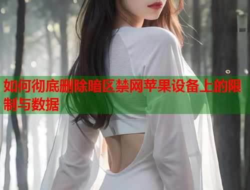 如何彻底删除暗区禁网苹果设备上的限制与数据