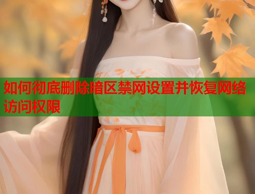 如何彻底删除暗区禁网设置并恢复网络访问权限