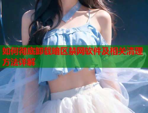 如何彻底卸载暗区禁网软件及相关清理方法详解