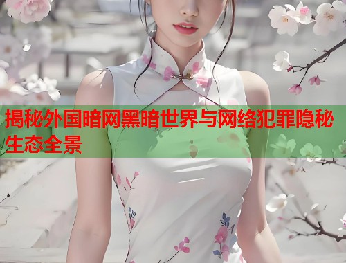 揭秘外国暗网黑暗世界与网络犯罪隐秘生态全景