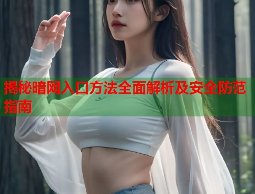 揭秘暗网入口方法全面解析及安全防范指南