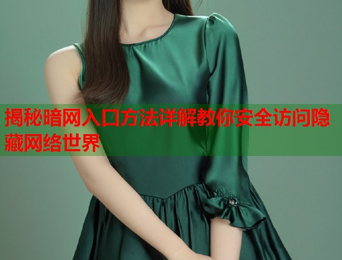 揭秘暗网入口方法详解教你安全访问隐藏网络世界
